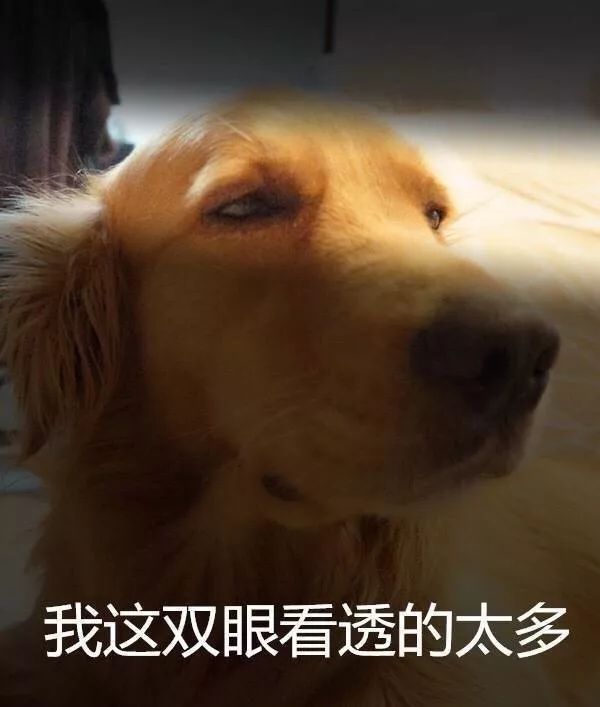 博亚体育官方app下载