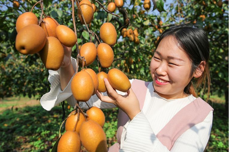 澳门·威尼斯人(中国)官方网站